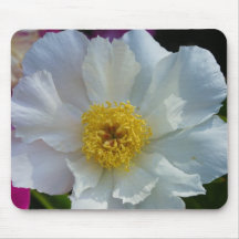 Bright White Peony Mousepad