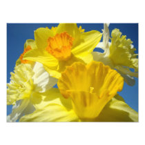 Bright Yellow Daffodil Flowers Photography prints