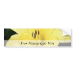 Bright Yellow Daylily