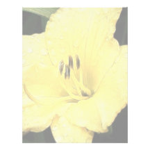 Bright Yellow Daylily Letterhead Template