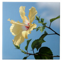 Bright yellow hibiscus flower Tile