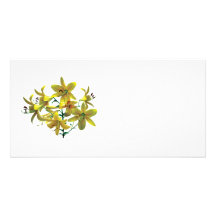 Bright Yellow Lilies Customized Photo Card