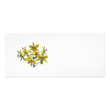 Bright Yellow Lilies Personalized Rack Card
