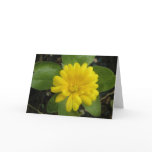 Bright Yellow Marigold Greeting Card