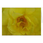 Bright Yellow Rose Card