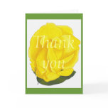Bright yellow rose, Thank you greeting cards