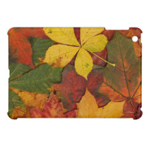 Brightly Colored Fall Leaves iPad Mini Covers