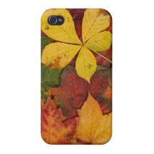 Brightly Colored Fall Leaves iPhone 4/4S Cover