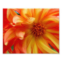 Brightness ! 10 x 8 Photographic Print