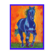 Brillian Blue Horse Postcards