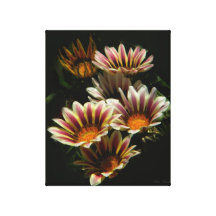 Brilliance 2 canvas print