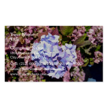 Brilliant blue and purple Hydrangea flowers Business Card