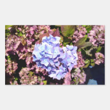 Brilliant blue and purple Hydrangea flowers Sticker