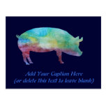 Brilliant Colour-washed Pigs Post Card