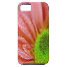 Brilliant daisy iPhone 5 cover