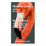 Brilliant Flamingo Business Card
