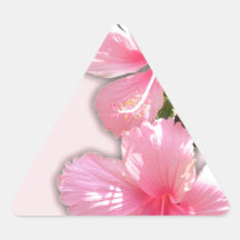 Brilliant Pink Hibiscus Flowers Triangle Stickers