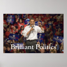 Brilliant Politics Poster