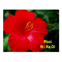 Brilliant Red Hibiscus Flower, Maui Hawaii Postcards