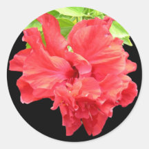 Brilliant Red Hibiscus Flower Round Stickers