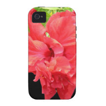 Brilliant Red Hibiscus Flower Vibe iPhone 4 Cases