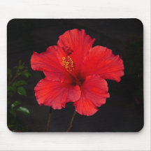 Brilliant Red Hibiscus Mousepad