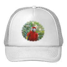 Brilliant Red Parrot Baseball Hat