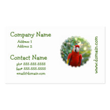 Brilliant Red Parrot Business Cards