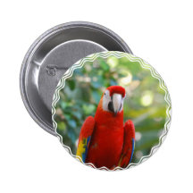 Brilliant Red Parrot Button