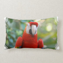 Brilliant Red Parrot Pillow