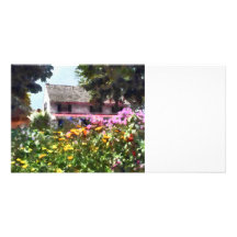 Brilliant Summer Garden Photo Greeting Card