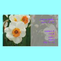 brilliant yellow centered daffodil business cards