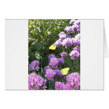 Brimstone Butterflies in the Herb Garden Greeting Card