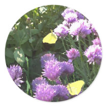 Brimstone Butterflies in the Herb Garden Round Stickers