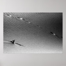 Brindille et voies posters