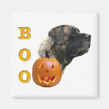 Brindle Mastiff Boo Magnet