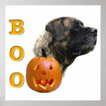 Brindle Mastiff Boo Poster