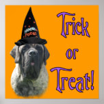 Brindle Mastiff Trick Poster