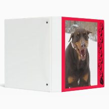 bris, Dobermans Vinyl Binder