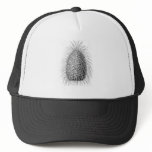 Bristlecone Fir Mesh Hat