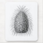 Bristlecone Fir Mouse Pad