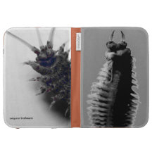 Bristleworm Kindle Case