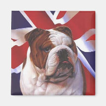 British Bull Dog Magnets