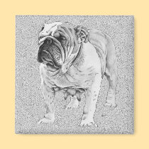British Bulldog magnets