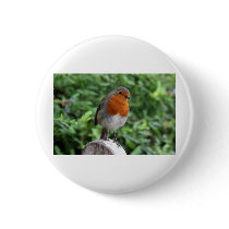 British Robin Pin