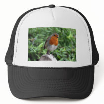 British Robin Hats