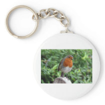 British Robin Key Chain