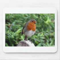 British Robin Mousepad