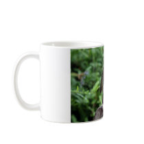 British Robin Coffee Mugs
