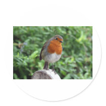 British Robin Stickers